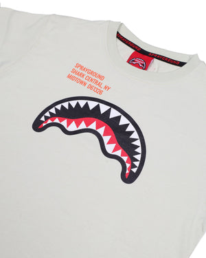 Shark basic reg t-shirt SPY1384 /IVORY SPRAYGROUND 