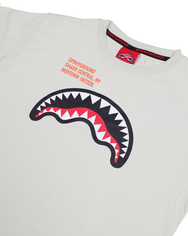 Shark basic reg t-shirt SPY1384 /IVORY SPRAYGROUND 
