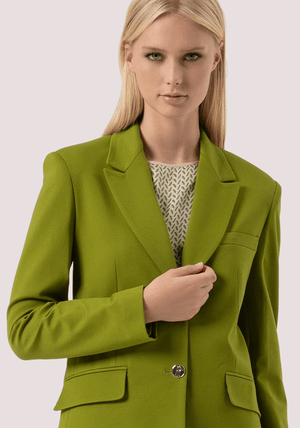 Blazer regular monopetto FR25WJ3015W72701 /813 FRACOMINA 