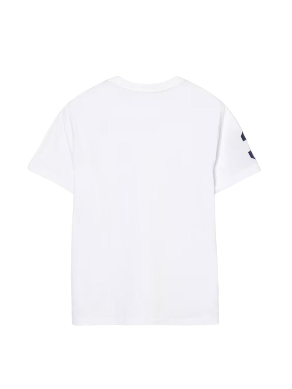 POLO RALPH LAUREN 323832907/037