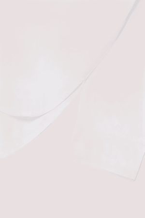 Camicia Bari in popeline MX0210 MX077 /MX100 MAX&CO 