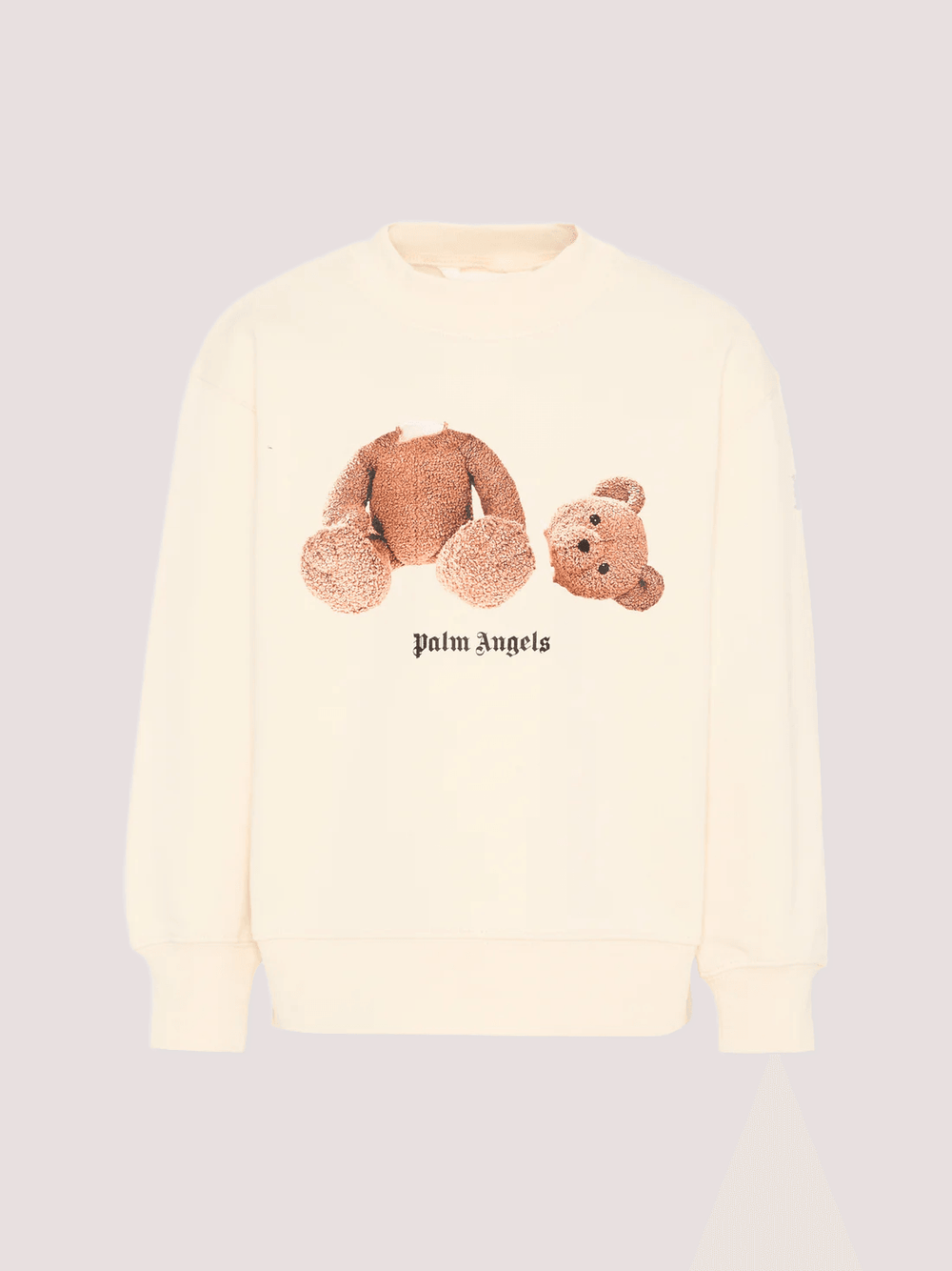 Felpa con stampa Teddy Bear PBBA012S26FLE002 /2 PALM ANGELS 