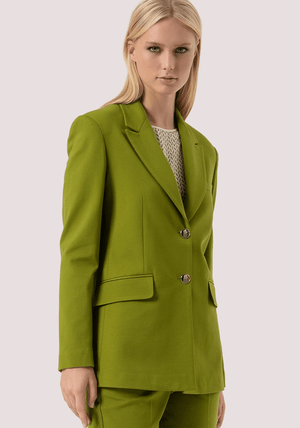 Blazer regular monopetto FR25WJ3015W72701 /813 FRACOMINA 