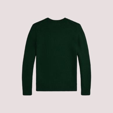 Maglione polo bear 323978393 /1 POLO RALPH LAUREN 