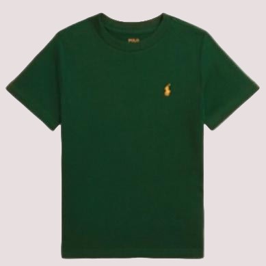 T-shirt in jersey di cotone con scollo a girocollo 323832904 /196 POLO RALPH LAUREN 