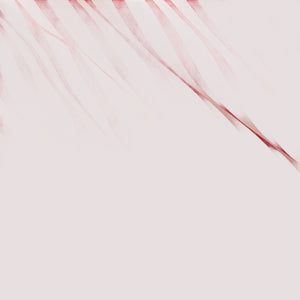 Camicia in popeline a righe e pantaloncini ricamati 320B21361 /001 POLO RALPH LAUREN 