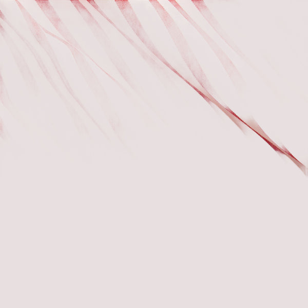 Camicia in popeline a righe e pantaloncini ricamati 320B21361 /001 POLO RALPH LAUREN 