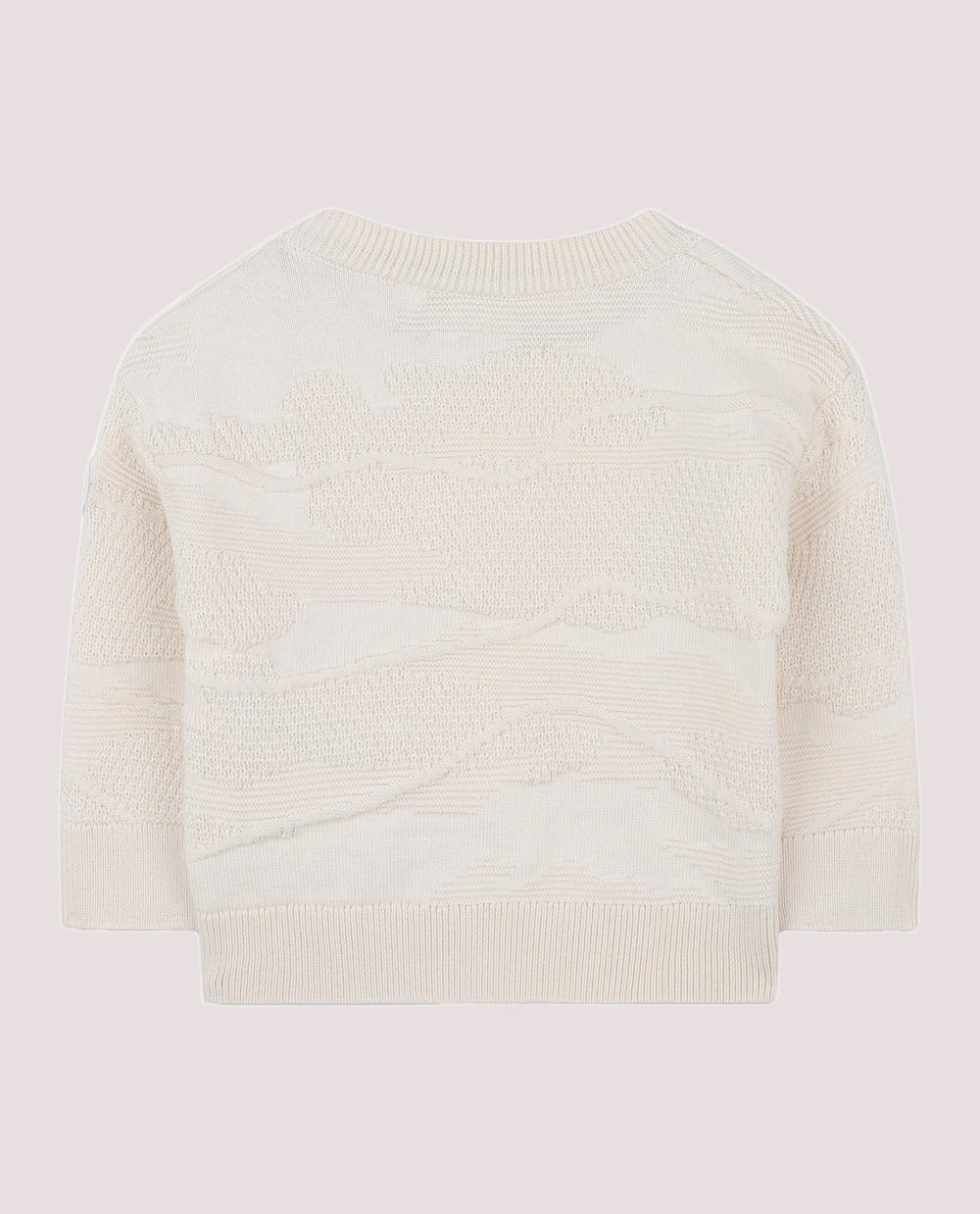 Maglione girocollo J52460 /21C BOSS 