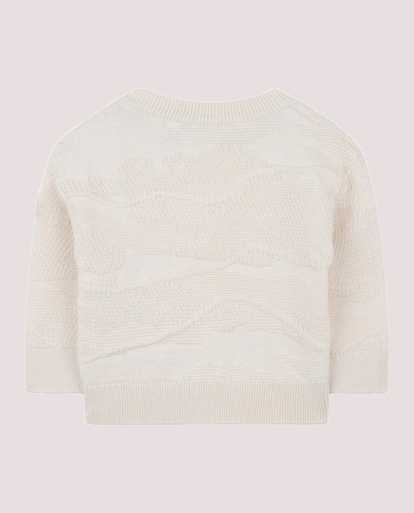 Maglione girocollo J52460 /21C BOSS 