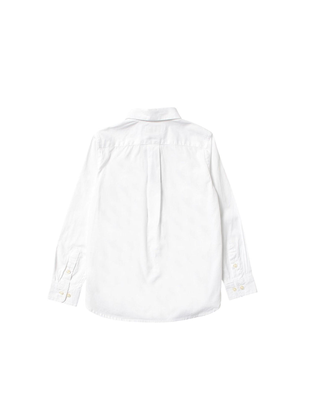 POLO RALPH LAUREN 323819238/001