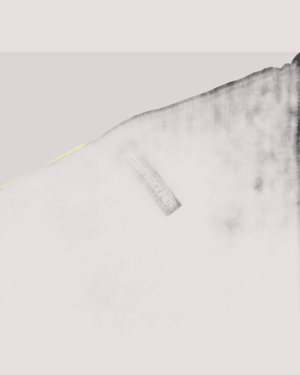 Graffitti bear shorts SPY1441E /BLACK SPRAYGROUND 