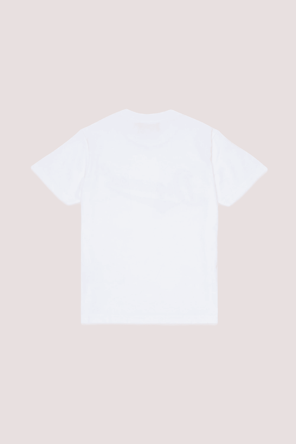 T-shirt girocollo con logo stampato DQ3171 D0ACD /DQ100 DSQUARED2 JUNIOR 