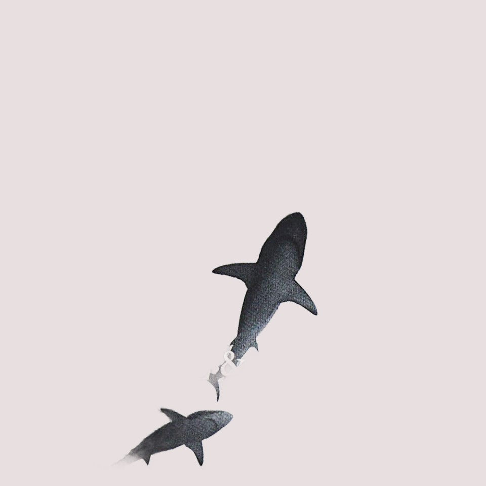 T-shirt con stampa WMM00G LAA53 /42370 PAUL & SHARK 