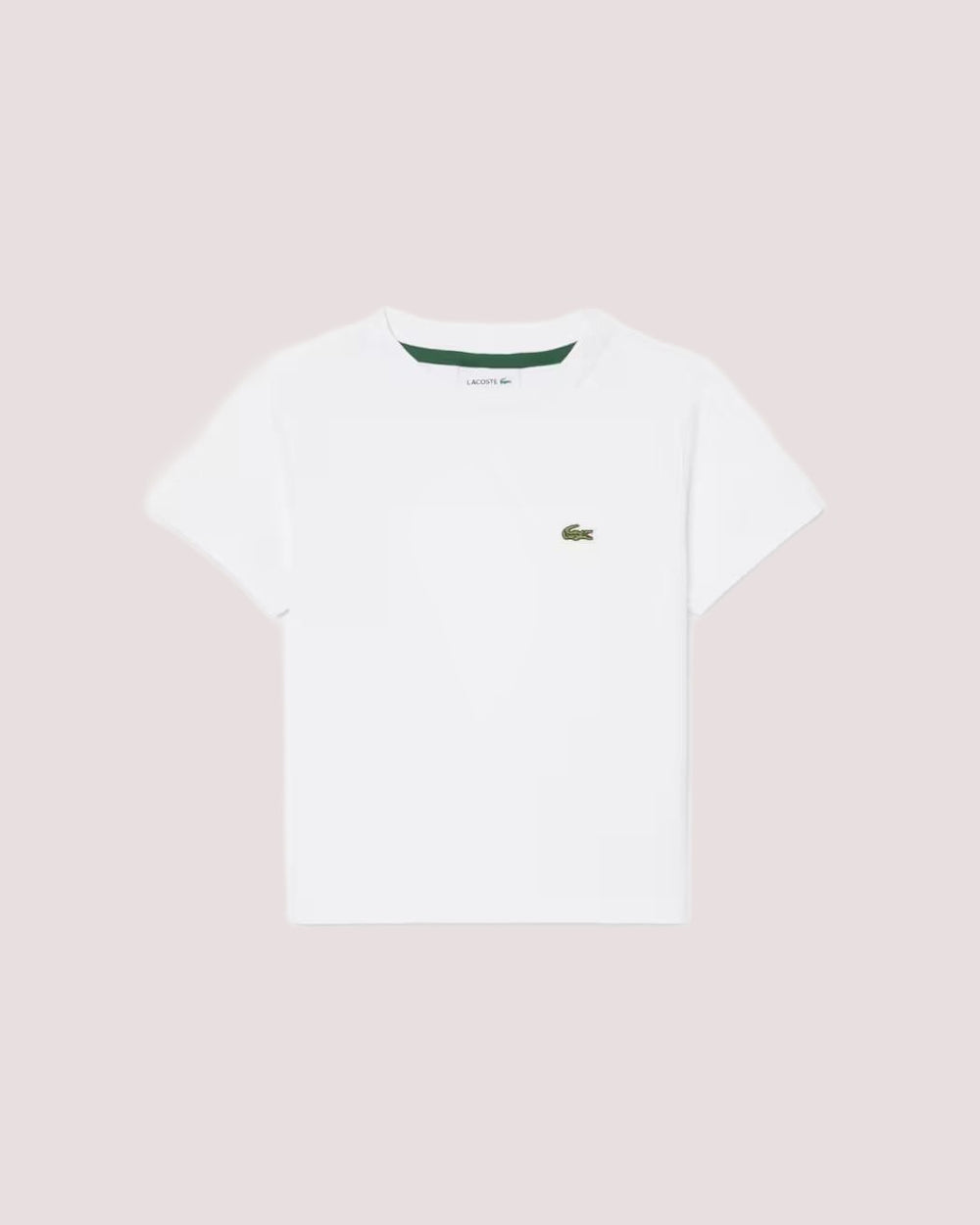 T-shirt unisex in cotone 847025 /W8L LACOSTE 