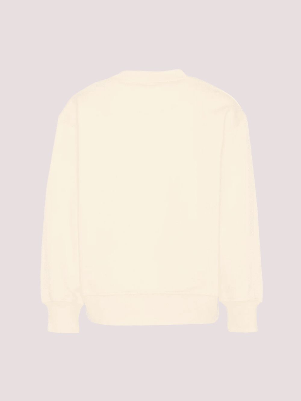 Felpa con stampa Teddy Bear PBBA012S26FLE002 /2 PALM ANGELS 