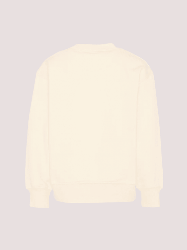 Felpa con stampa Teddy Bear PBBA012S26FLE002 /2 PALM ANGELS 