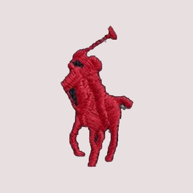 Maglione girocollo in cotone 323970429 /5 POLO RALPH LAUREN 