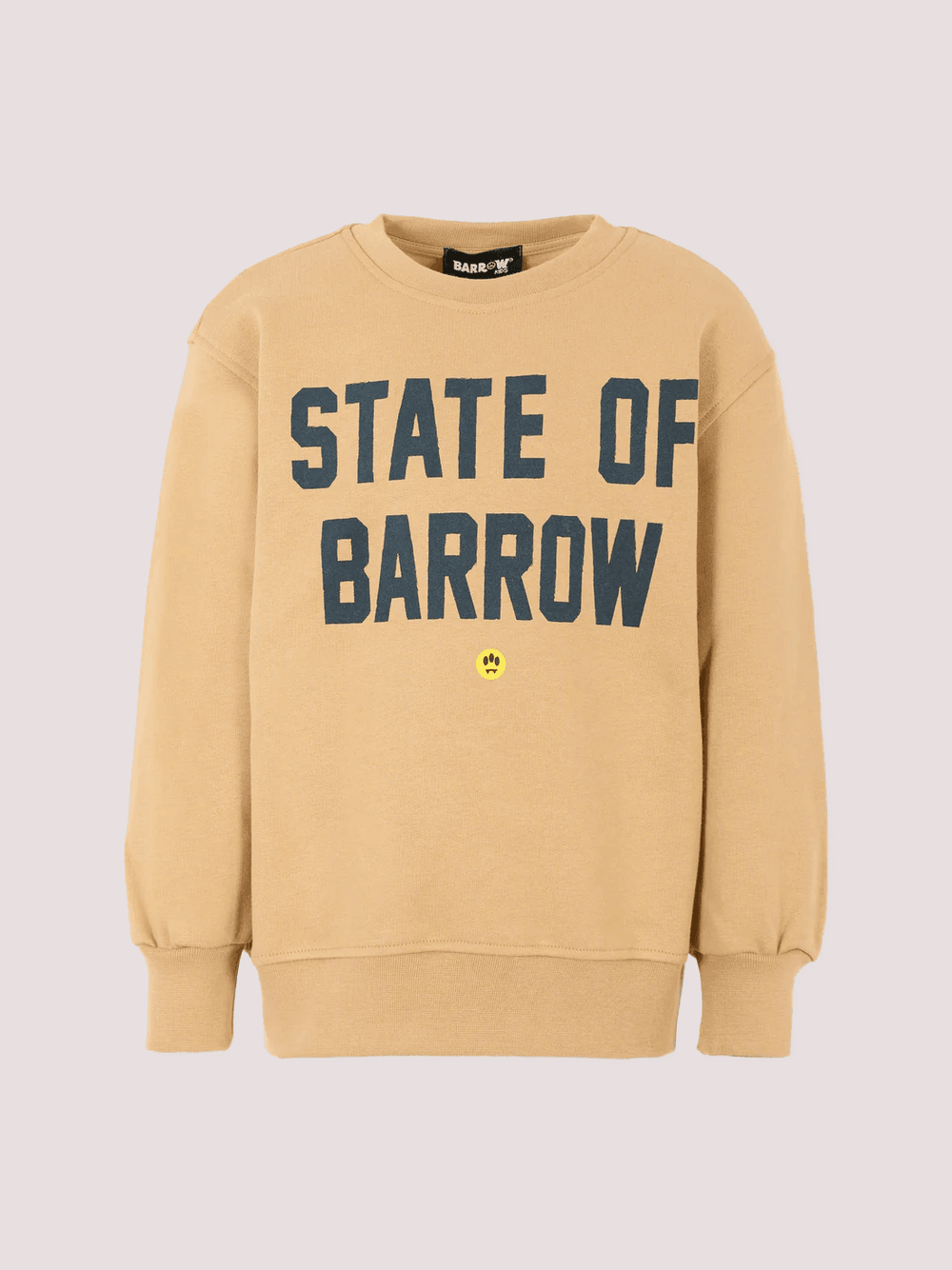 Felpa girocollo con stampa F5BKJUSW076 /307 BARROW KIDS 