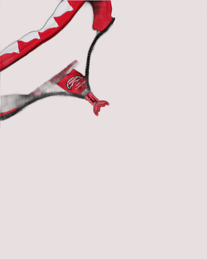 Takeover the throne visor hoodie black SPY1363GBLK /BLACK SPRAYGROUND 