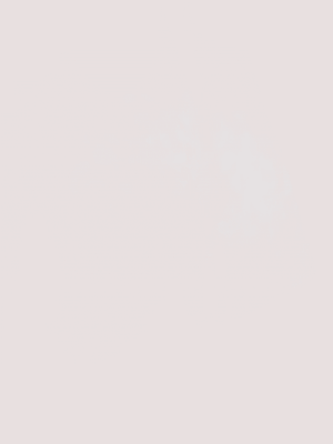 Camicia con logo J52681 /10P BOSS 