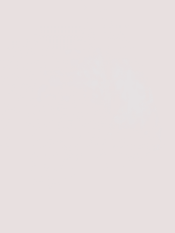 Camicia con logo J52681 /10P BOSS 